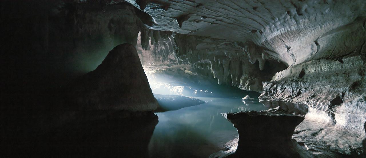 Image of New Zealand, Waipu Caves by Mikael Kristenson via Unsplash